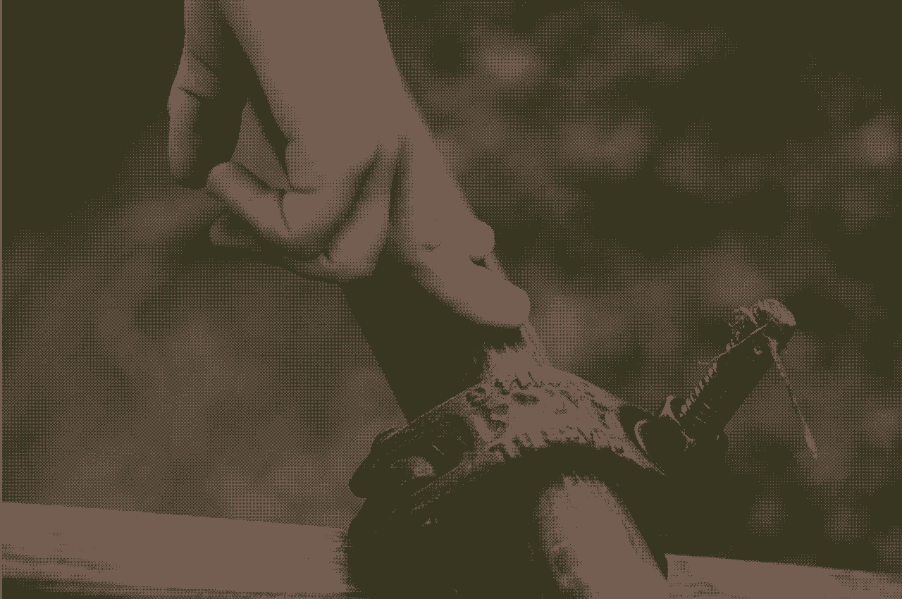 Fallback Thumbnail image