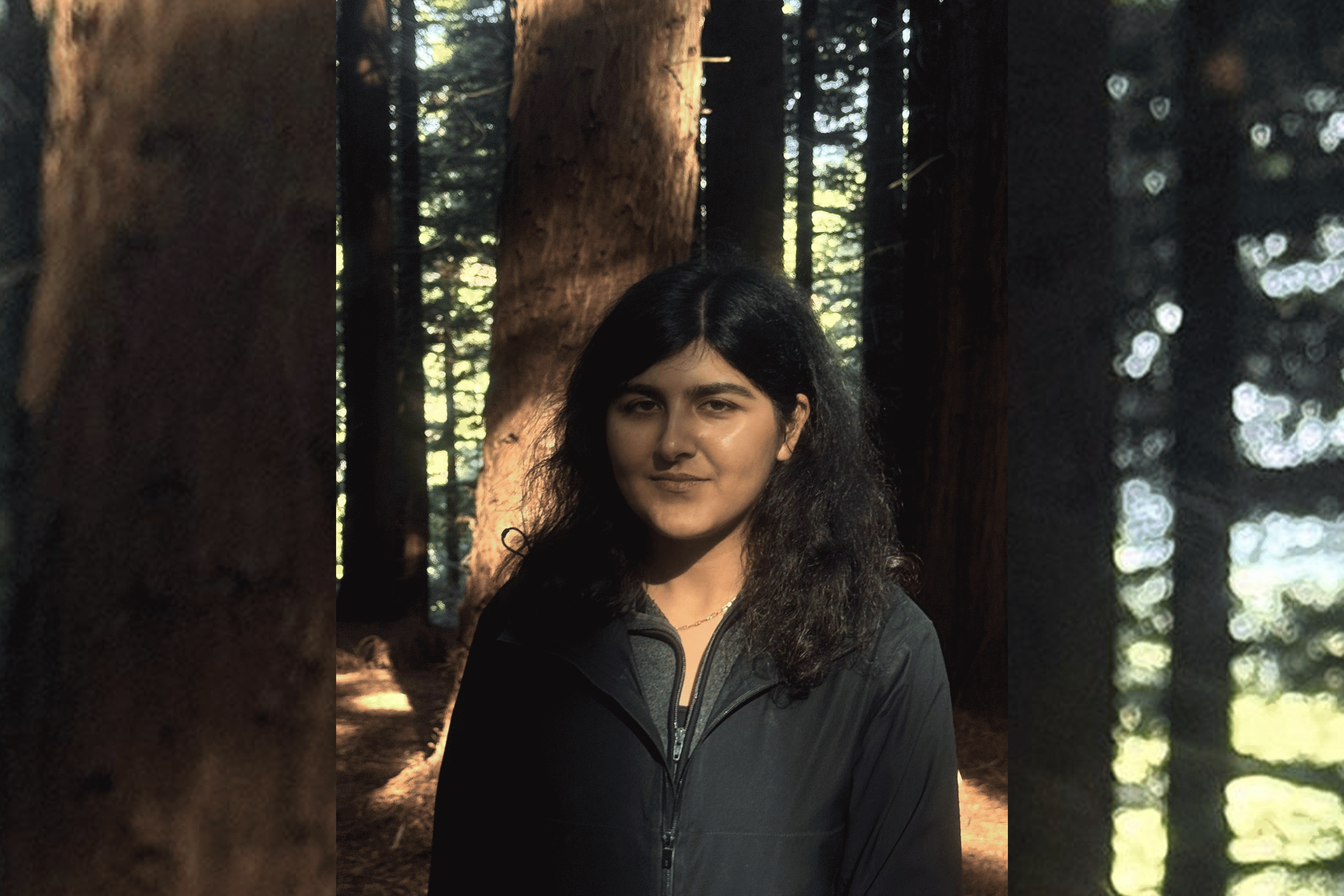 Alternative description text goes here