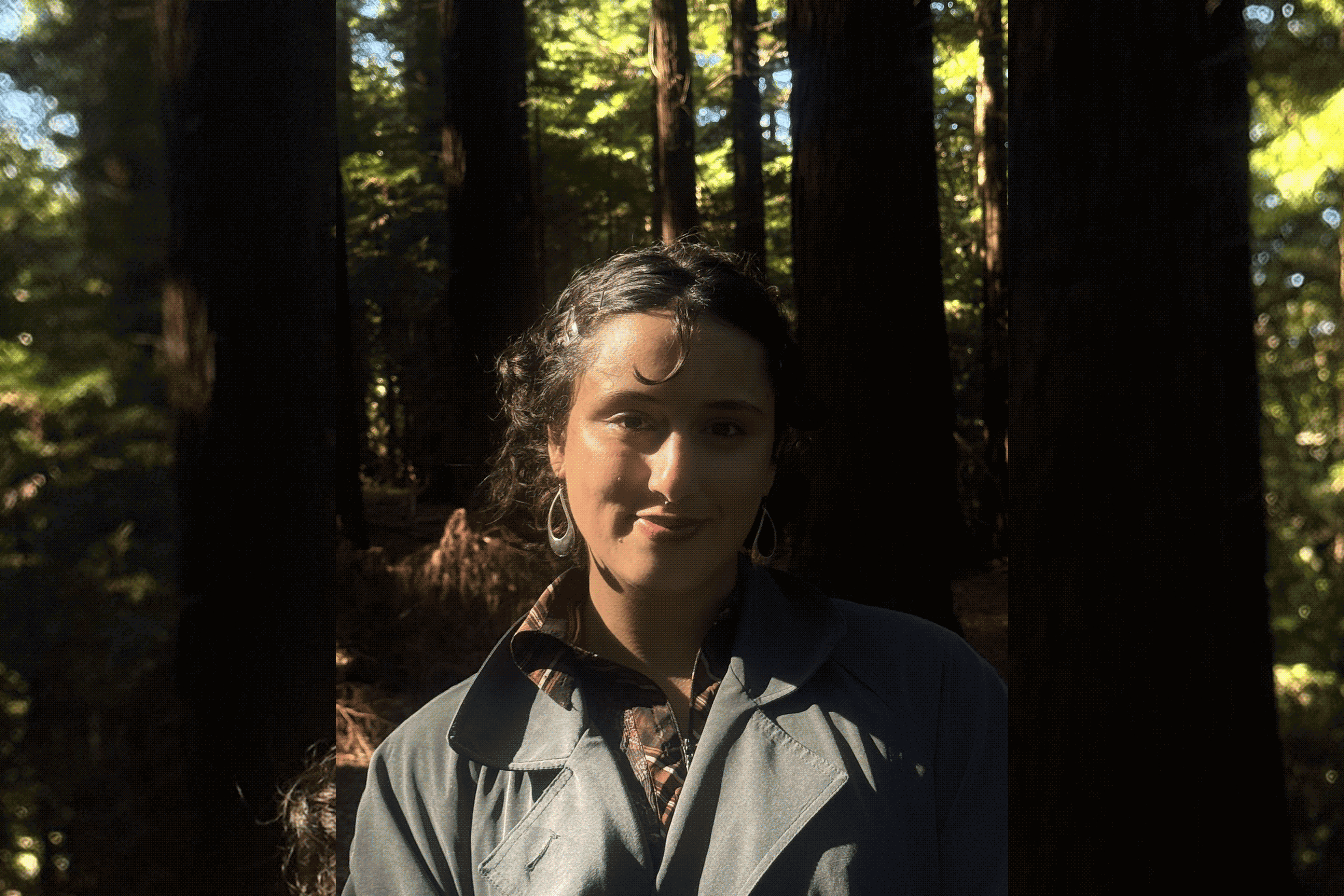 Alternative description text goes here