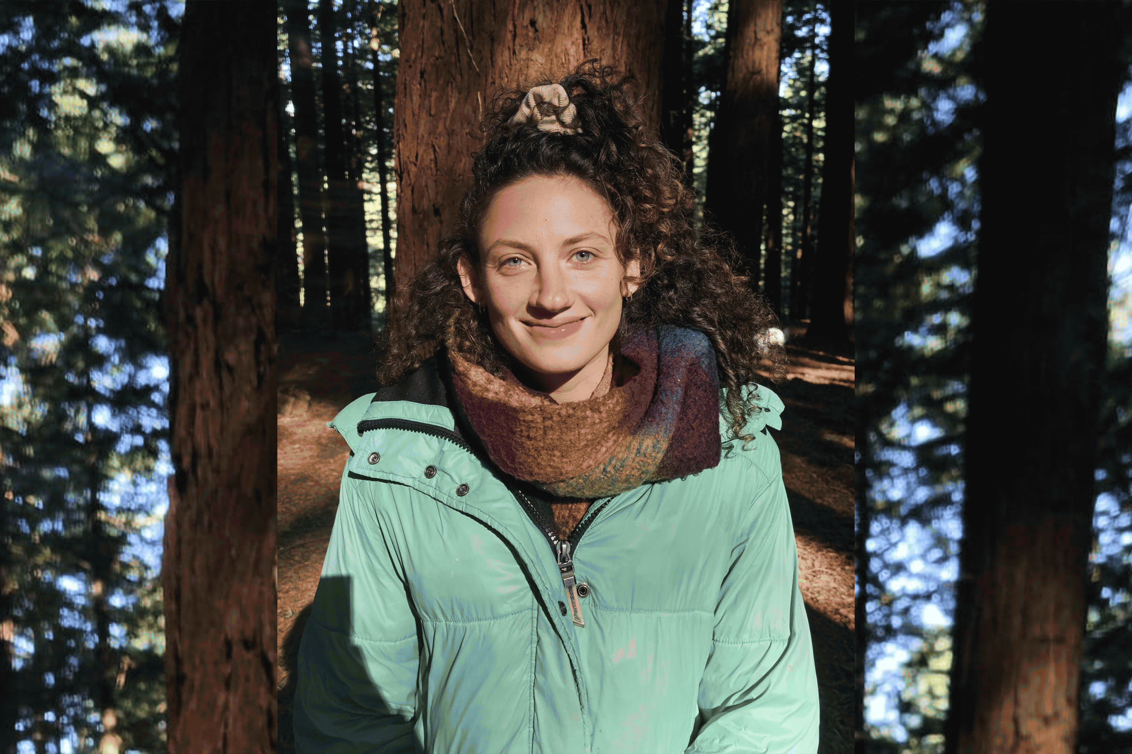 Alternative description text goes here